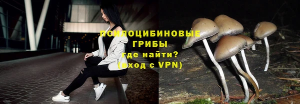 амф Майский