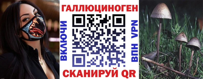 Псилоцибиновые грибы Magic Shrooms  Черепаново 